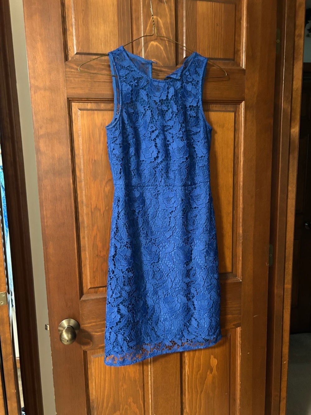 J. crew Sleeveless Royal Blue Lace Sheath Dress